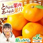 みかんドーム特選 原口みかん 約5kg
