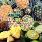 ミニトロピカルフルーツ セット パイン シークワーサー