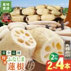 fu.... налог [ специальный отбор ]. нет . лотос корень (2kg коробка )2~4шт.@l старый магазин производство земля лотос редкий товар вид renkon мягкий прямая поставка от производителя (82-02) Ibaraki префектура . видеть блок 