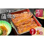 うなぎ 鰻 蒲焼き 大 2袋入り
