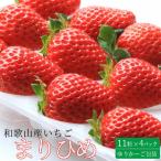 いちご まりひめ 1パック