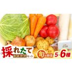 fu.... налог .. длина . овощи случайный комплект (5~6 вид )/ овощи ... овощи комплект овощи набор набор комплект / большой . город /... магазин -[.. Nagasaki префектура большой . город 