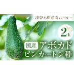 アボカド ピンカートン種 2個入り