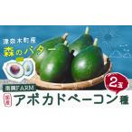 アボカド ベーコン種 2玉入り