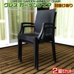 ガーデンチェア 肘掛け付き 2脚セット 家具