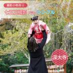 七五三撮影 出張撮影プラン シンプル 深大寺
