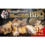 媛っこ地鶏 BBQセット 1kg