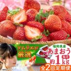 福岡産 春あまおう 250g×4P