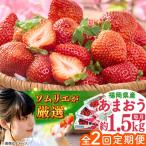 福岡産 春あまおう 250g×6P
