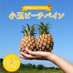 小玉 ピーチパイン 約3kg
