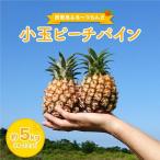 小玉 ピーチパイン 約5kg