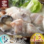 ふぐ 鍋 セット 活〆 おうごんとらふぐ 鍋セット 約400g