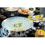 ふるさと納税 ふぐ 刺身 ふぐ鍋セット 活〆 おうごんとらふぐ 贅沢 セット 4人前 [松永水産 長崎県 平戸市 hr42bgy400180] 長崎県平戸市