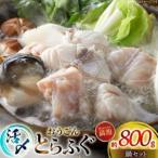 ふぐ 鍋 セット 活〆 おうごんとらふぐ 満腹