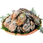 ふるさと納税 【期間限定発送】 牡蠣 生食 平戸産 殻付き 生牡蠣 約2.5kg [北川水産 長崎県 平戸市 hr42bgy400102] 長崎県平戸市