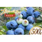 fu.... налог голубика рефрижератор 250g 2 упаковка итого 500g [.. есть голубика .moon berry's kitchen Nagasaki префектура flat дверь город hr42bhb500000] Nagasaki префектура flat дверь город 