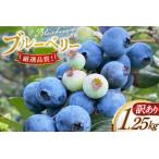 fu.... налог голубика есть перевод рефрижератор 250g 5 упаковка итого 1.25kg [.. есть голубика .moon berry's kitchen Nagasaki префектура flat дверь город hr42bhb5000.. Nagasaki префектура flat дверь город 