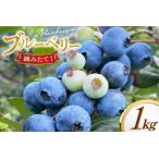 fu.... налог голубика рефрижератор 250g 4 упаковка итого 1kg [.. есть голубика .moon berry's kitchen Nagasaki префектура flat дверь город hr42bhb500002] Nagasaki префектура flat дверь город 