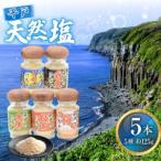 塩 平戸 天然塩 多彩 セット 5本