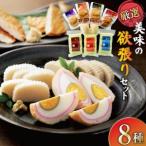 練り物 かまぼこ すり身揚げ 8種