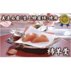 柿羊羹 美濃名産 堂上蜂谷柿 使用 330g×2本セット