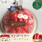 クリスマスケーキ いちご あまおう ゆめのか