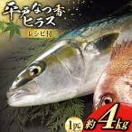 ぶり 刺身 平戸なつ香 ブリ 丸々 1匹