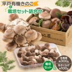 野菜類 きのこ しいたけ きくらげ 椎茸菌床