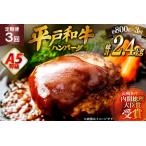 ふるさと納税 ハンバーグ 牛肉 定期便 A5ランク 平戸牛 和牛 ハンバーグ 約200g×4個 3回 総計12個 [萩原食肉産業 長崎県 平戸市 hr42bgy410.. 長崎県平戸市