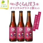 クラフトビール 天使のさくらんぼ 3本セット