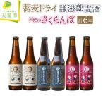 TENDO BREWERY クラフトビール 6本
