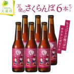 クラフトビール 天使のさくらんぼ 6本セット