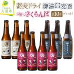 TENDO BREWERY クラフトビール 10本
