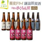 TENDO BREWERY クラフトビール 12本