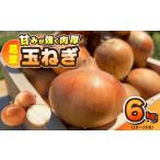 fu.... налог [ предшествующий предварительный заказ ]. лист шар лук порей 6kg(10~15 шар ) Osaka (столичный округ) Izumi .. город 