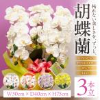 光触媒造花胡蝶蘭 3本立 ホワイトピンク