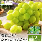 豊岡ぶどう シャインマスカット 約2kg