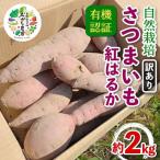 有機認証 自然栽培 さつまいも 紅はるか サイズ