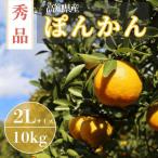 徳村のぽんかん Lー2Lサイズ