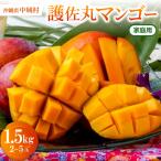 �ӂ邳�Ɣ[�� �y2027�N6�����珇�������E�ƒ�p�z�썲�ۃ}���S�[1.5kg(2�`5��)�y�z���s�n��F�����z�y1676051�z ���ꌧ���鑺