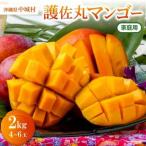 �ӂ邳�Ɣ[�� �y2027�N6�����珇�������E�ƒ�p�z�썲�ۃ}���S�[2.0kg(4�`6��)�y�z���s�n��F�����z�y1676052�z ���ꌧ���鑺
