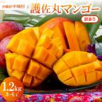 �ӂ邳�Ɣ[�� �y2027�N6�����珇�������E�󂠂�z�썲�ۃ}���S�[1.2kg(3�`6��)�y�z���s�n��F�����z�y1676053�z ���ꌧ���鑺