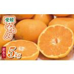 ふるさと納税 【みかん】 訳あり 愛媛みかん 5kg | 愛媛県 松山市  【VEG103】 愛媛県松山市