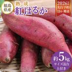 熟成 紅はるか さつまいも 5kg