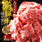 訳あり A5飛騨牛 切り落とし 1kg