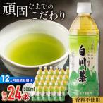 緑茶ペットボトル 500ml×24本入