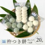 杵つき餅 急速冷凍 あん入り10個 白 5個