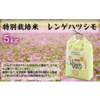 精米 ハツシモ 5kg
