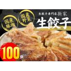 ショッピング餃子 ふるさと納税 生餃子専門店「新家」の生餃子　元気がモリモリ100個セット 岐阜県大垣市