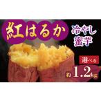 焼き芋 蜜芋 冷蔵 紅はるか 約1.2kg